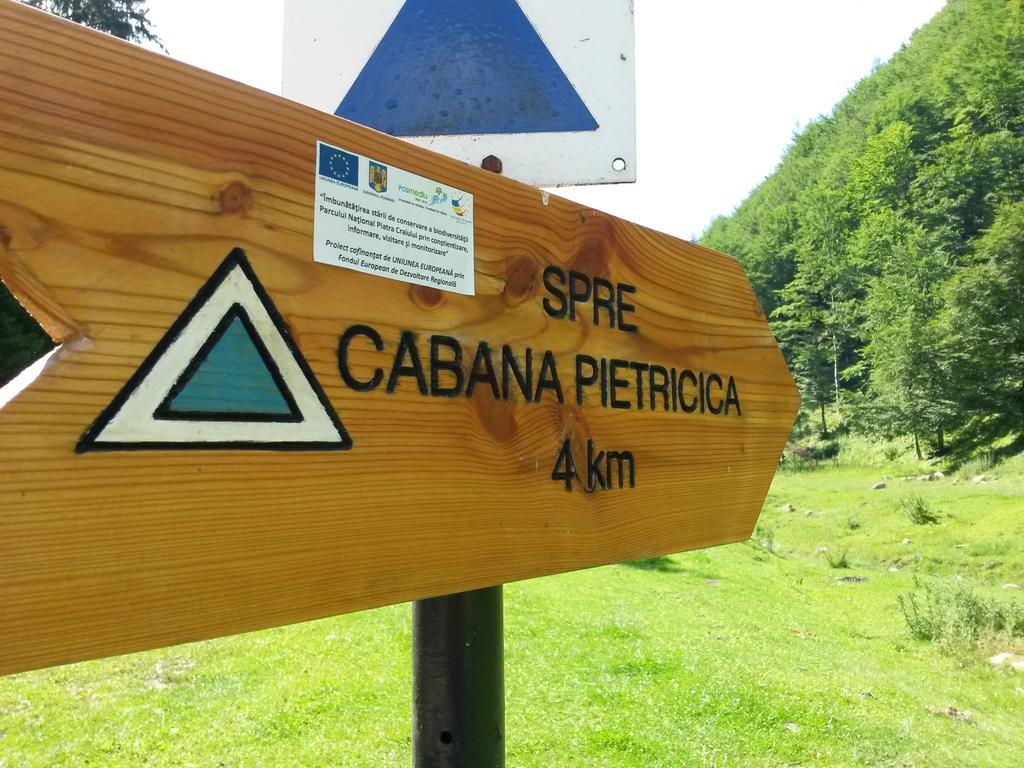 Cabana Pietricica Dîmbovicioara 외부 사진