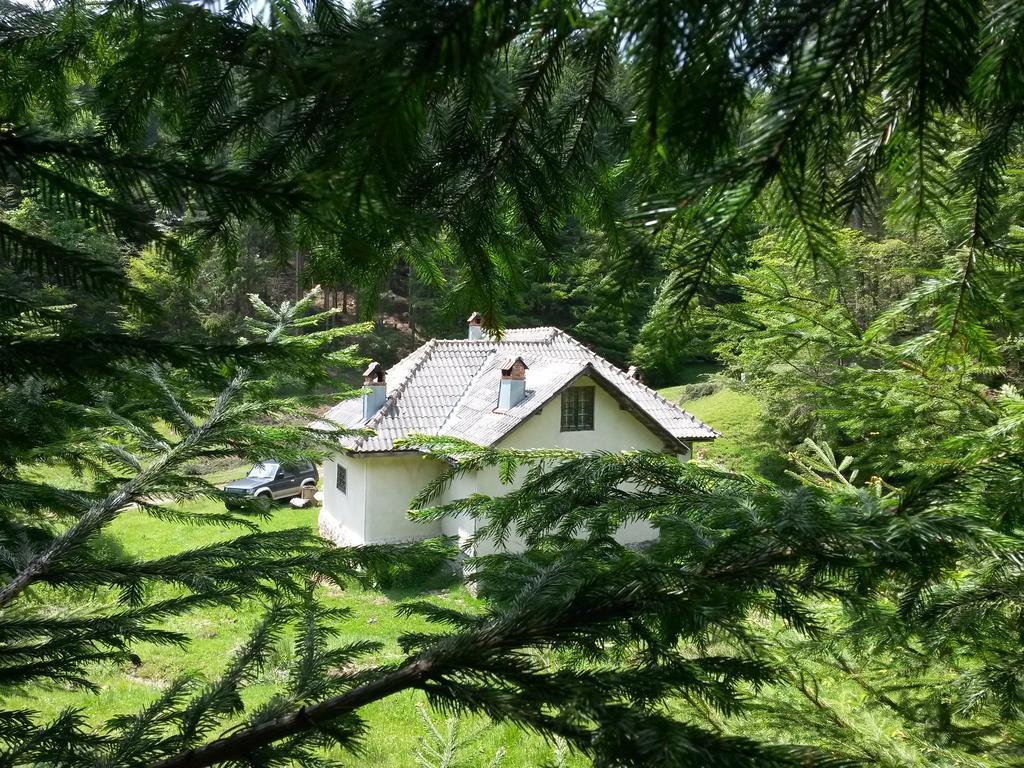 Cabana Pietricica Dîmbovicioara 외부 사진