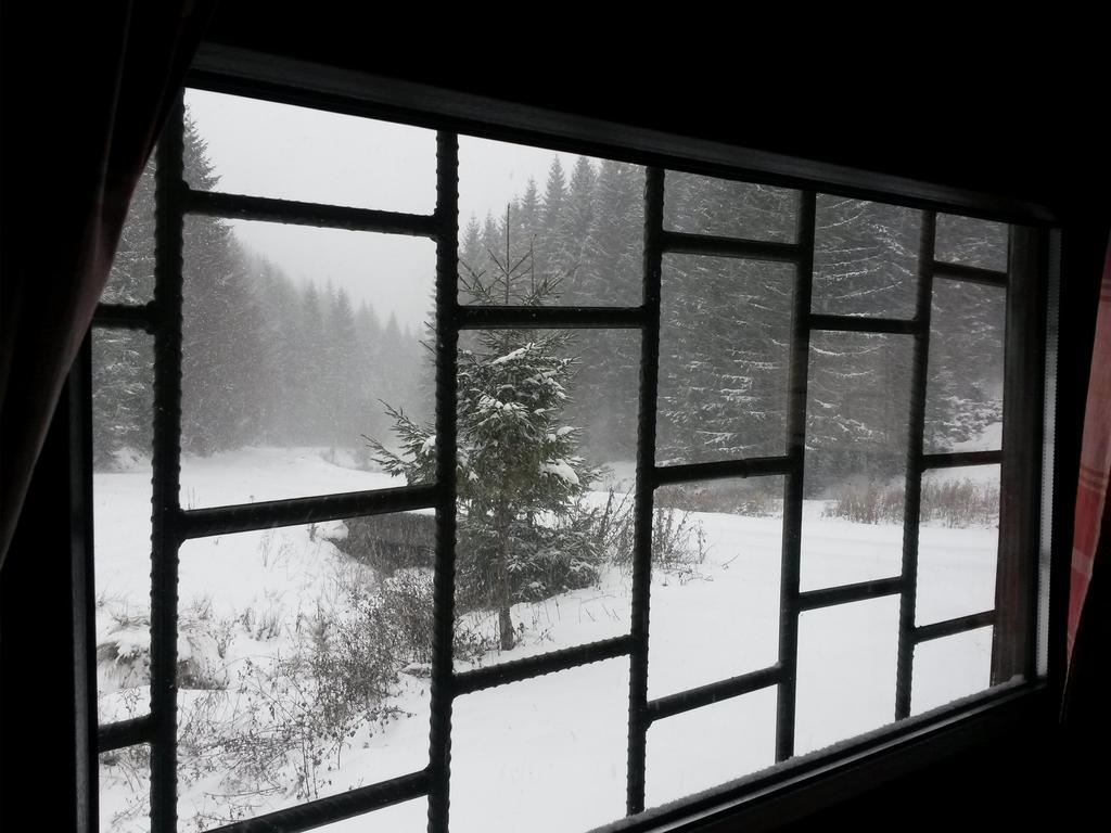 Cabana Pietricica Dîmbovicioara 외부 사진