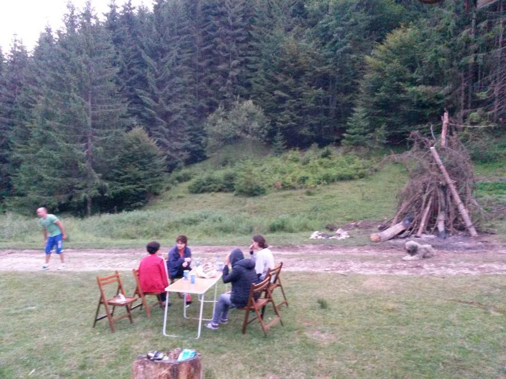Cabana Pietricica Dîmbovicioara 외부 사진