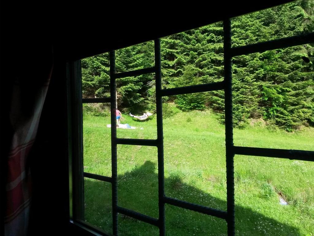 Cabana Pietricica Dîmbovicioara 외부 사진