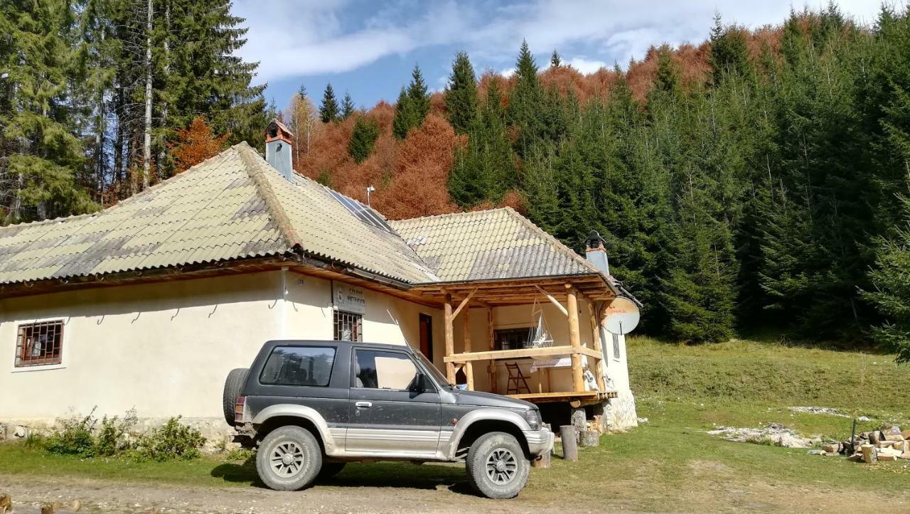 Cabana Pietricica Dîmbovicioara 외부 사진