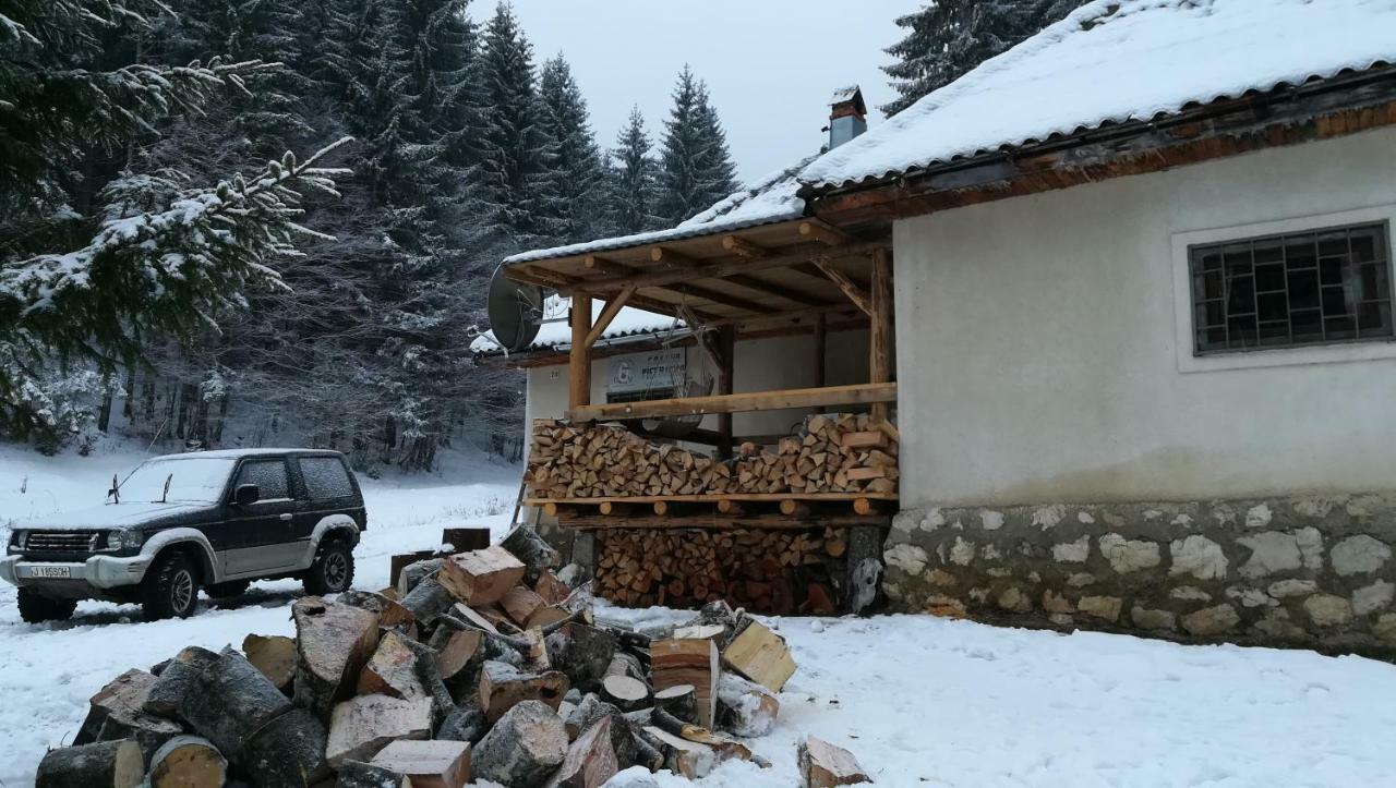 Cabana Pietricica Dîmbovicioara 외부 사진