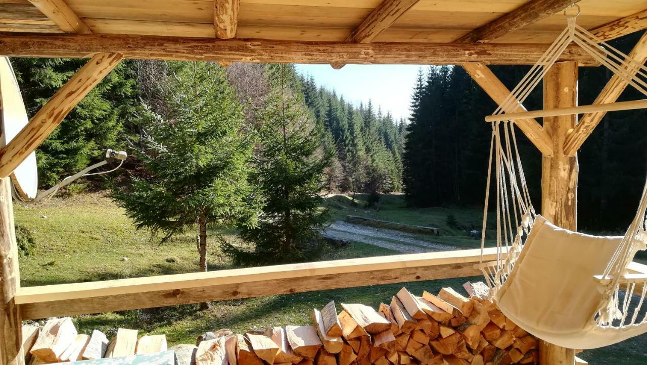 Cabana Pietricica Dîmbovicioara 외부 사진