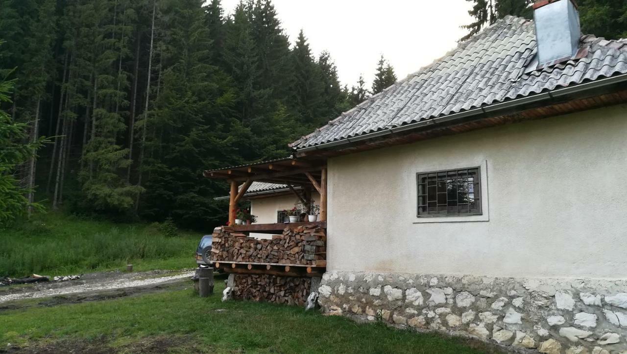 Cabana Pietricica Dîmbovicioara 외부 사진