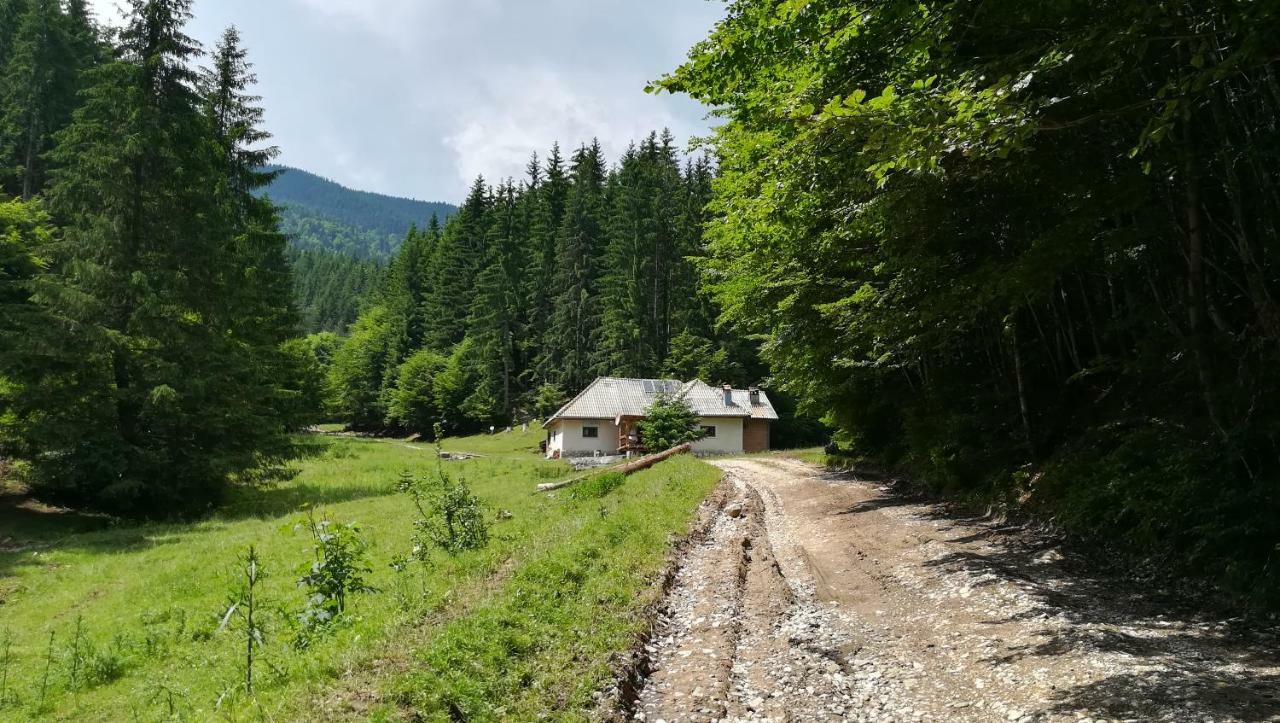 Cabana Pietricica Dîmbovicioara 외부 사진